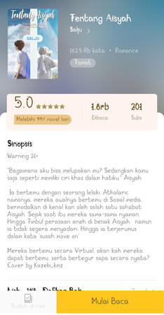 Novelme, tentang Aisyah, nama pena Salju